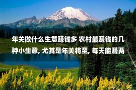 年关做什么生意赚钱多 农村最赚钱的几种小生意, 尤其是年关将至, 每天能赚两三百