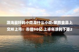 潞海最好的小吃是什么小吃:紫燕食品上交所上市：市值90亿 上半年净利下降27%