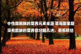 中性细胞酶的营养元素来源 草莓膨果期没有能缺的营养你分解几许，看看肥估中这10种元素的影响