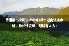 岳阳楼小吃和长沙小吃对比:湖南这座小城，比长沙安逸，却鲜有人去！