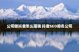 公司做抖音怎么赚钱 抖音SEO排名公司