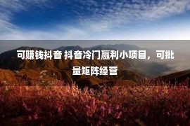 可赚钱抖音 抖音冷门赢利小项目，可批量矩阵经营