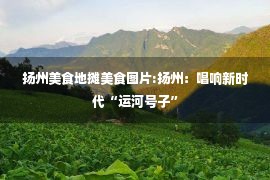 扬州美食地摊美食图片:扬州：唱响新时代“运河号子”