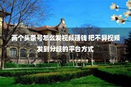 两个头条号怎么发视频赚钱 把不异视频发到分歧的平台方式