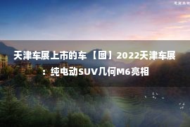 天津车展上市的车 【图】2022天津车展：纯电动SUV几何M6亮相