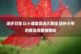 进步日常 以小课堂促进大团结 这所小学的做法效果棒棒哒