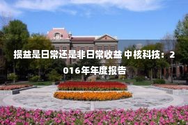 损益是日常还是非日常收益 中核科技：2016年年度报告