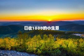 日收1000的小生意 