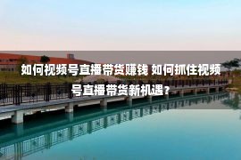 如何视频号直播带货赚钱 如何抓住视频号直播带货新机遇？