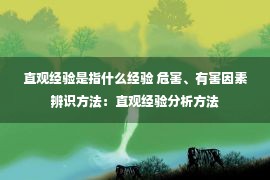 直观经验是指什么经验 危害、有害因素辨识方法：直观经验分析方法