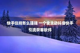 快手住持怎么赚钱 一个全主动抖音快手引流获客软件