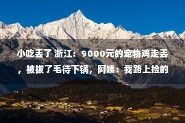 小吃丢了 浙江：9000元的宠物鸡走丢，被拔了毛待下锅，阿姨：我路上捡的呀