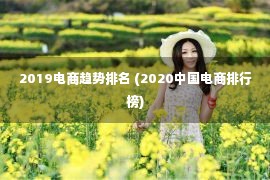 2019电商趋势排名 (2020中国电商排行榜)