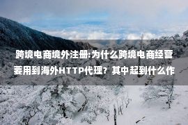 跨境电商境外注册:为什么跨境电商经营要用到海外HTTP代理？其中起到什么作用？