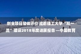 创业项目整体评价 成都理工大学“双一流”建设2018年度进展报告 —中国教育在线