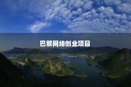 巴黎网络创业项目 