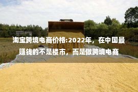 淘宝跨境电商价格:2022年，在中国最赚钱的不是楼市，而是做跨境电商