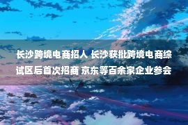 长沙跨境电商招人 长沙获批跨境电商综试区后首次招商 京东等百余家企业参会