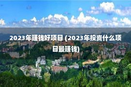 2023年赚钱好项目 (2023年投资什么项目最赚钱)