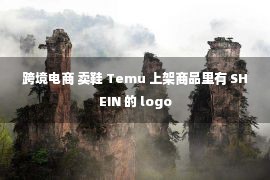 跨境电商 卖鞋 Temu 上架商品里有 SHEIN 的 logo