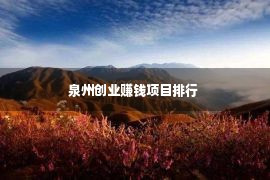 泉州创业赚钱项目排行 