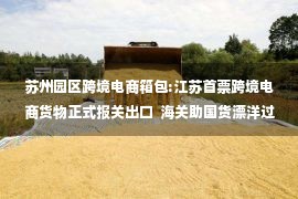 苏州园区跨境电商箱包:江苏首票跨境电商货物正式报关出口  海关助国货漂洋过海