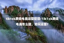 tiktok跨境电商运营管理:TikTok跨境电商怎么做，如何运营？