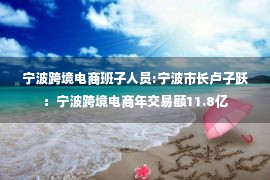 宁波跨境电商班子人员:宁波市长卢子跃：宁波跨境电商年交易额11.8亿