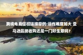 跨境电商侵权链接举例:运作难度加大 亚马逊品牌收购还是一门好生意吗？