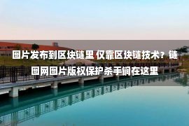 图片发布到区块链里 仅靠区块链技术？链图网图片版权保护杀手锏在这里