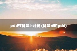 pdd在抖音上赚钱 (抖音里的pdd)