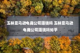 玉林亚马逊电商公司赚钱吗 玉林亚马逊电商公司赚钱吗知乎