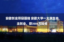 安徽创业项目赚钱 安徽大学一大学生自主创业，获300万投资