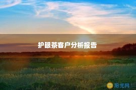 护眼茶客户分析报告 