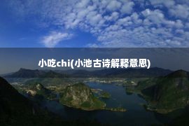 小吃chi(小池古诗解释意思)