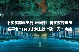 平多多跨境电商 狂砸钱！拼多多跨境电商平台TEMU计划上线“砍一刀”功能