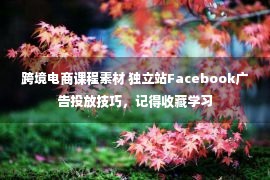 跨境电商课程素材 独立站Facebook广告投放技巧，记得收藏学习