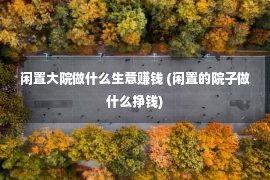 闲置大院做什么生意赚钱 (闲置的院子做什么挣钱)