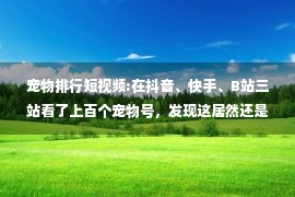 宠物排行短视频:在抖音、快手、B站三站看了上百个宠物号，发现这居然还是蓝海