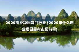 2020创业项目冷门行业 (2020年什么创业项目最有市场前景)