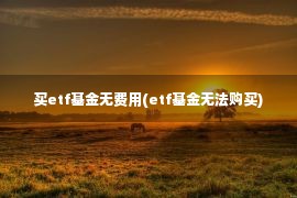 买etf基金无费用(etf基金无法购买)