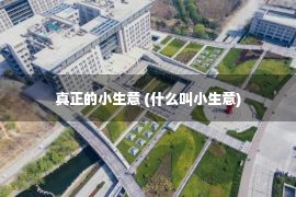 真正的小生意 (什么叫小生意)