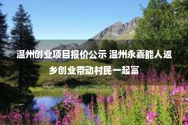 温州创业项目报价公示 温州永嘉能人返乡创业带动村民一起富