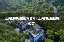 上海团购社区团购公司 (上海的社区团购公司)