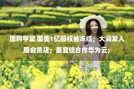 团购学堂 国美1亿股权被冻结；大润发入局会员店；美宜佳合作华为云；