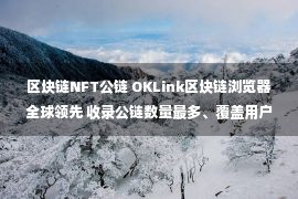 区块链NFT公链 OKLink区块链浏览器全球领先 收录公链数量最多、覆盖用户人数最多