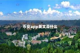 币安app英文是什么