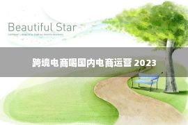 跨境电商喝国内电商运营 2023