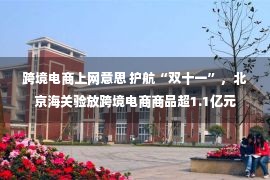 跨境电商上网意思 护航“双十一”，北京海关验放跨境电商商品超1.1亿元