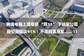 跨境电商上网意思 “双11” 下这家公司股价涨幅达41%！不是阿里京东...... 11月11日股价速览